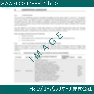 グローバルリサーチ調査資料のイメージ